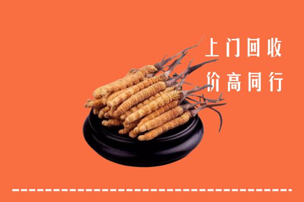 舟山岱山回收冬虫夏草
