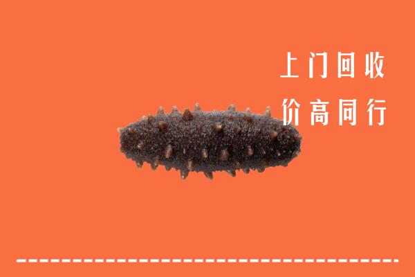 高价求购：舟山岱山回收海参