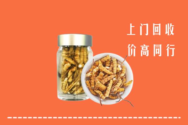 舟山岱山回收冬虫夏草
